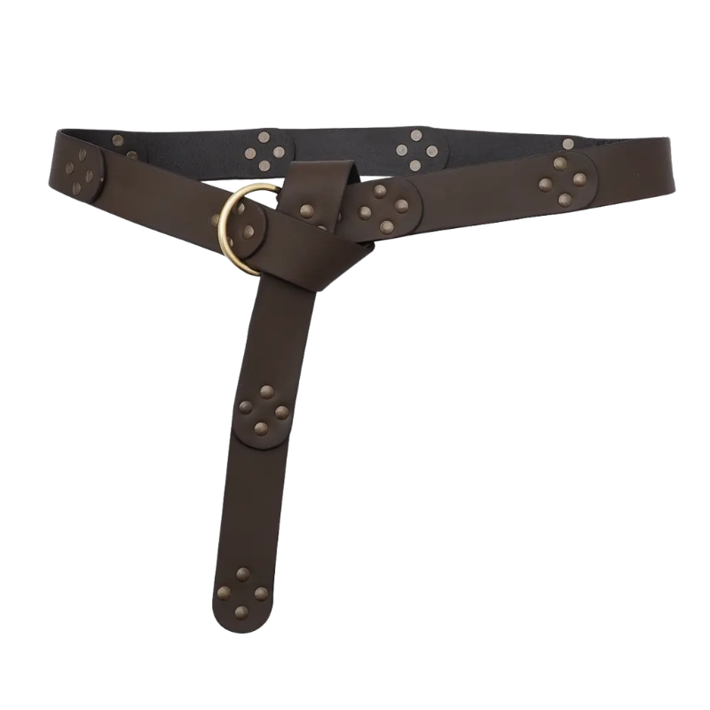 A dark brown leather belt with a wide strap, a central buckle closure, and multiple rows of silver-toned studs, shown on a plain white background.