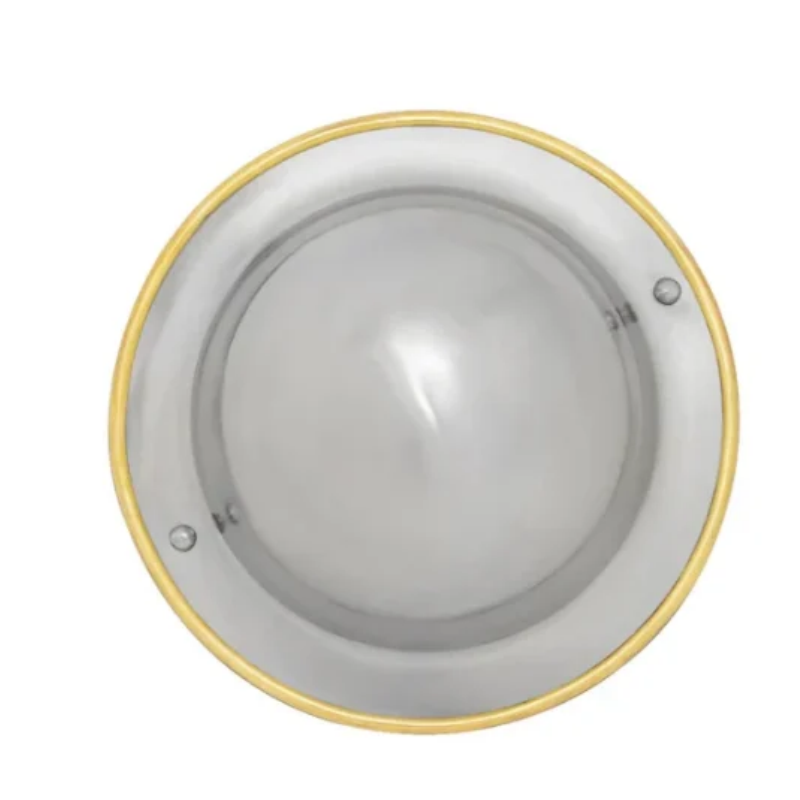 7 in Steel Buckler With Brass Rim